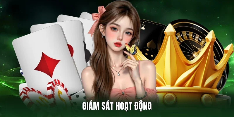 Giám sát hoạt động